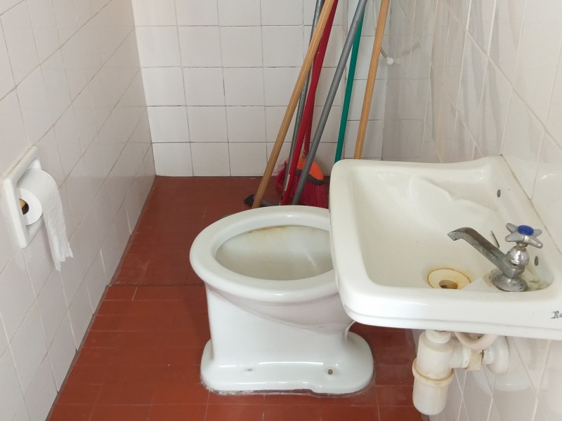 20190206_115256.jpg