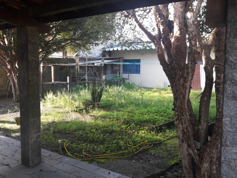 20180405_080222.jpg