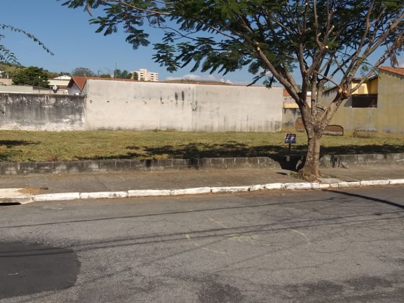 d4dba0b9-b932-4466-9773-bf78f6ef677e.jpg