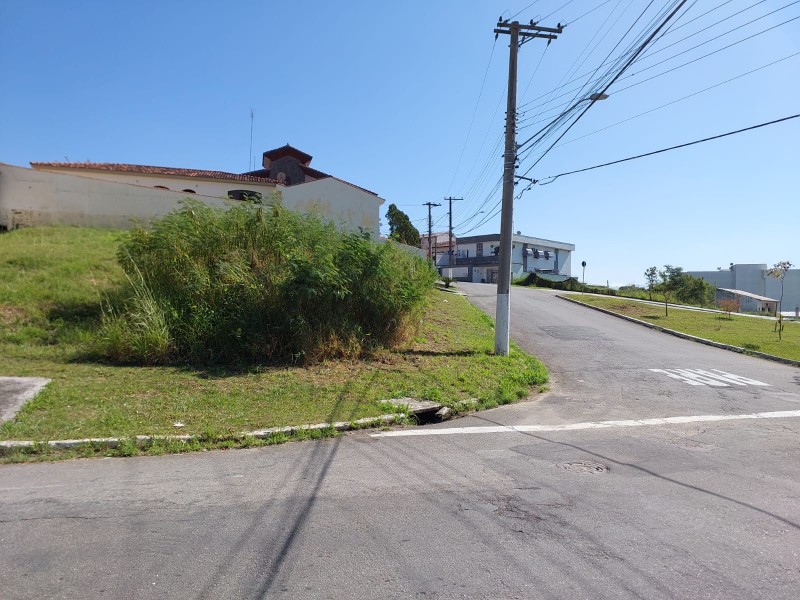 cd32265b-12e0-4a90-ae26-caac97876adb.jpg