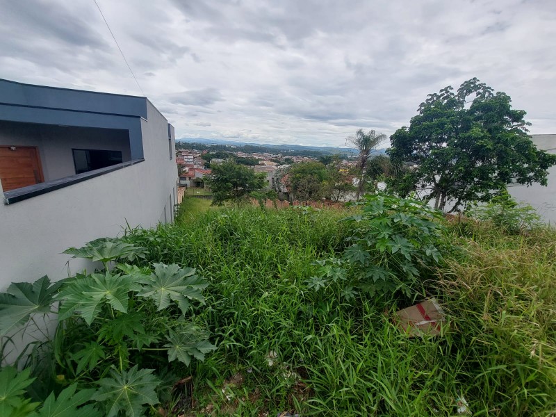 WhatsApp Image 2026-02-04 at 16.54.27.jpeg