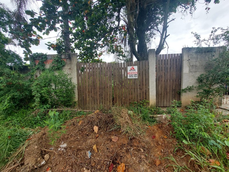 WhatsApp Image 2026-02-04 at 16.54.26 (1).jpeg